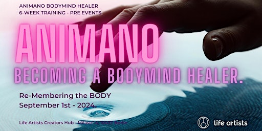 Becoming a BodyMind Healer! An introduction to the ANIMANO approach to the body.