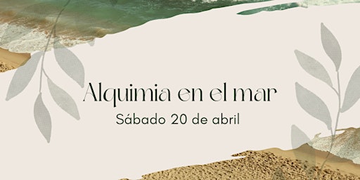 Image principale de Alquimia en el mar ✨