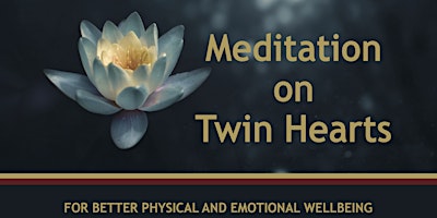 Imagen principal de Twin Hearts Meditation in Bray