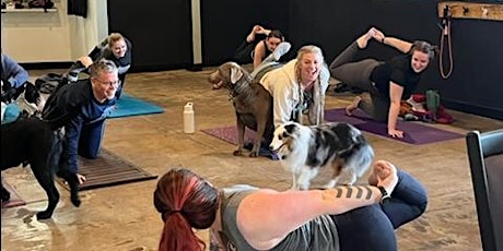 Yoga With Your Dog