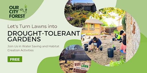Lawn Bust: Drought Tolerant Planting AM (San Jose) primary image