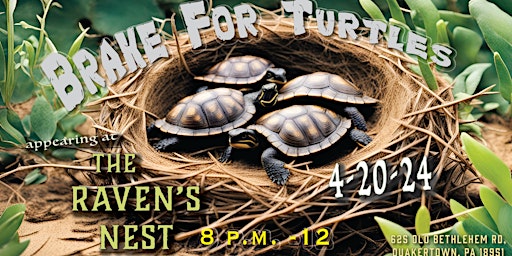 Imagem principal do evento Brake For Turtles LIVE at The Raven's Nest