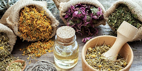Herbal Tea Wellness Workshop