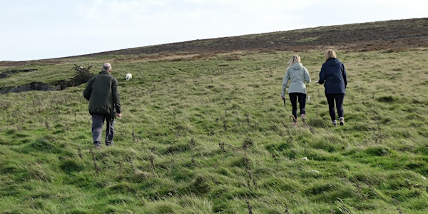 Walk the Moorlands - Rob from the Rich, Give to the Poor (8-9 miles)