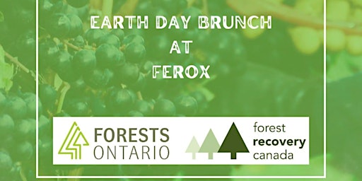 Immagine principale di Earth Day Brunch at Ferox Estate Winery 