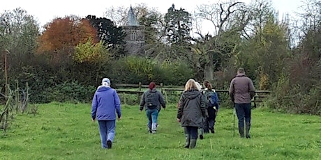 May Wildlife Walk, Queen Camel