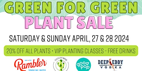 Succulent Native Green for Green Plant Sale