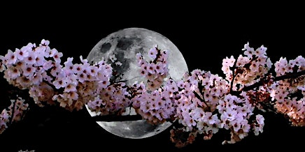 Immagine principale di Full Pink Moon Sound Bath 