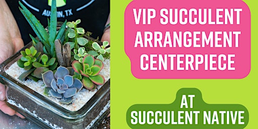 Primaire afbeelding van VIP Succulent Arrangement Centerpiece