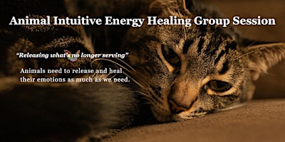 Animal Intuitive Energy Healing Group Session primary image