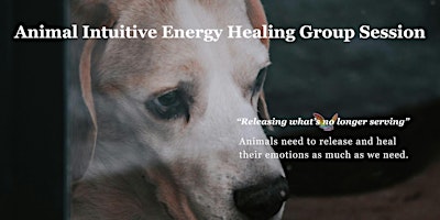 Animal Intuitive Energy Healing Group Session primary image