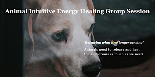 Imagem principal de Animal Intuitive Energy Healing Group Session