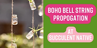 Primaire afbeelding van Boho Bell String Propogation