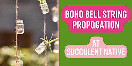 Boho Bell String Propogation primary image