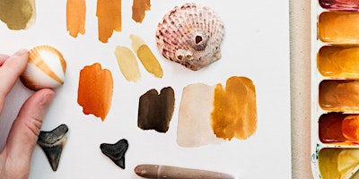 Imagen principal de Workshop | Shells and Shark Teeth in Watercolor