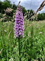 Wildlife wonders tour at Sheepleas primary image