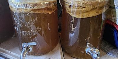 Primaire afbeelding van Homebrewing Your Own Kombucha