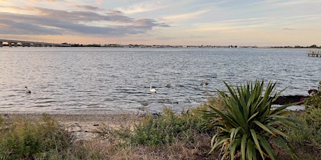 Sunday Open Paddle (Beach 75th St.) 2024 primary image