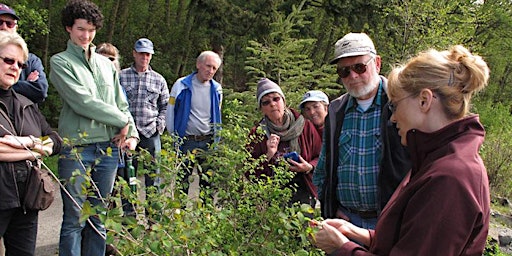 Hauptbild für Urban Foraging