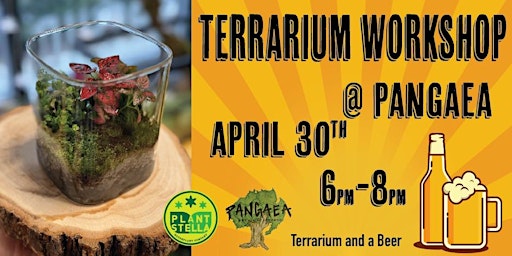 TERRARIUM WORKSHOP @ PANGAEA