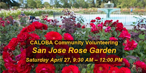 Hauptbild für CALOBA Community Volunteering: San Jose Rose Garden