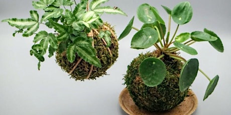 Donation-Based • Kokedama Earth Day Workshop • BYOP (Bring Your Own Plant!)