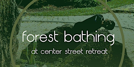 Forest Bathing at Center Street Retreat