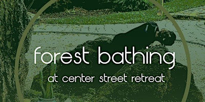 Imagen principal de Forest Bathing at Center Street Retreat