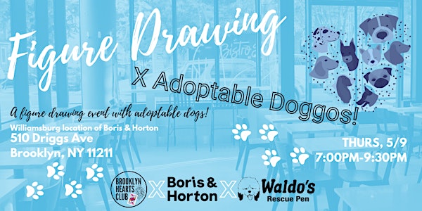 5/9 Figure Drawing x Adoptable Doggos hosted by Brooklyn Hearts Club