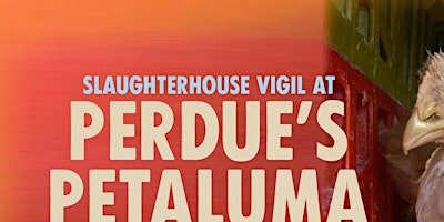 Slaughterhouse+Vigil+at+Perdue%27s+Petaluma+Pou