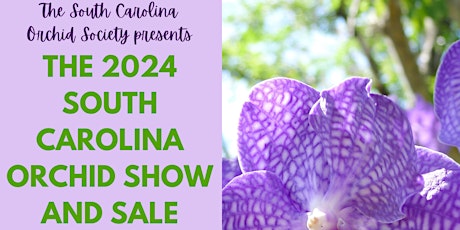 2024 South Carolina Orchid Show and Sale