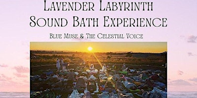 Image principale de The Lavender Labyrinth Sound Bath Experience