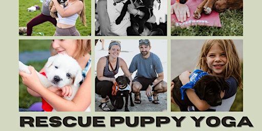 Primaire afbeelding van Rescue Puppy Yoga @ Stanley Marketplace!
