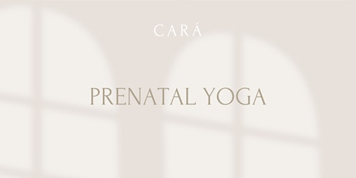 CARÁ I Prenatal Yoga mit Camilla primary image