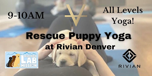 Imagem principal de Rescue Puppy Yoga @ Rivian!