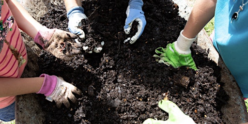 Immagine principale di Up The Allotments!  Composting Workshop 