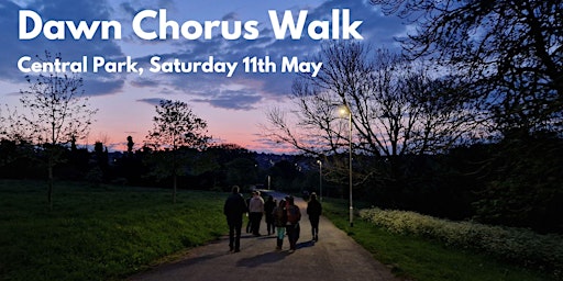 Primaire afbeelding van Dawn Chorus Walk - Saturday 11th May