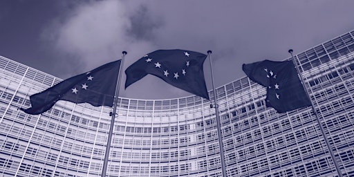 Imagen principal de EU&I 2024 Launch Event – Informing Voters, Shaping Futures