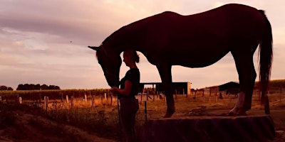 Imagem principal de Ontdek de Harmonie; Demo avond bij AV Horsemanship