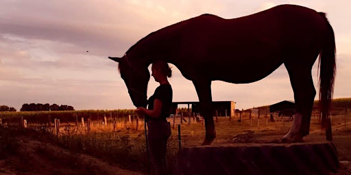 Ontdek de Harmonie; Demo avond bij AV Horsemanship  primärbild