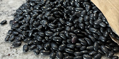 Hauptbild für Fifty shades of Black Beans