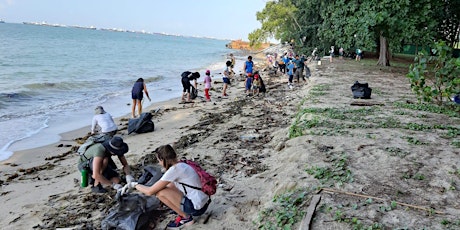68th Trash Hero Beach Clean Up - Pasir Ris Park Area 3 primary image