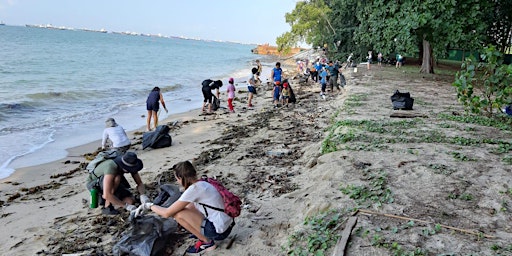 Hauptbild für 68th Trash Hero Beach Clean Up - Pasir Ris Park Area 3