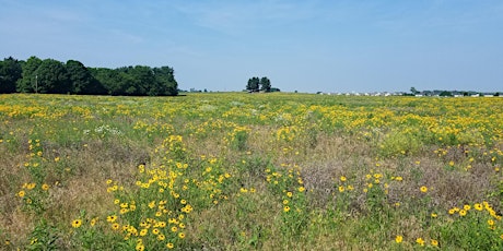 Managing Your Land for People and Wildlife: Regulatory Updates Seminar primary image