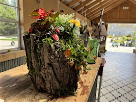 Primaire afbeelding van Earth Day Planter Workshop