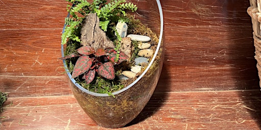 Imagem principal de Terrarium Workshop