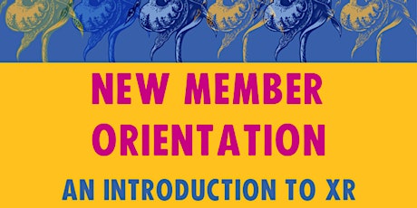 Orientation for Newcomers - Extinction Rebellion Ireland