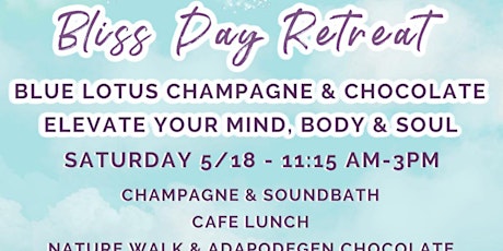 Bliss Retreat-Champagne & Chocolate-Soundbath-Nature Walk-Paint & Meditate