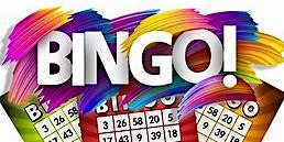 Imagen principal de BINGO Night