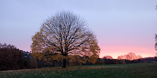 Dawn Chorus Bird Walk  primärbild